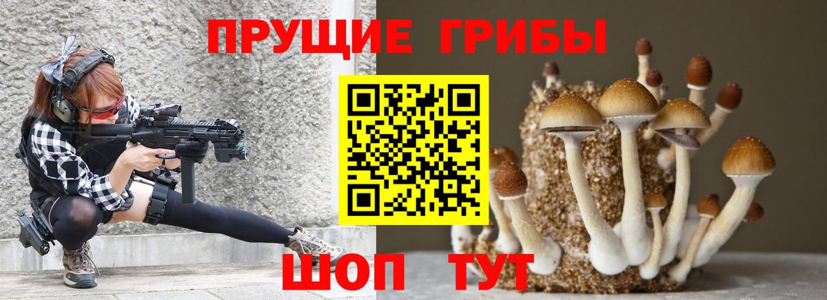 Псилоцибиновые грибы Cubensis Узловая