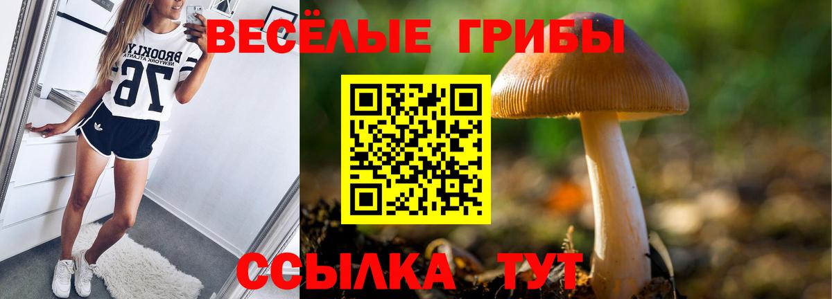 Галлюциногенные грибы Psilocybine cubensis  Вход с VPN  Узловая 